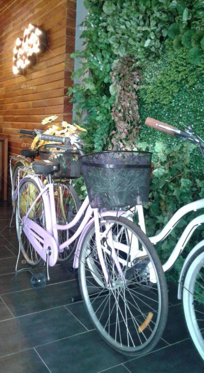 A Lovely Bike Decor At Cafe Velo