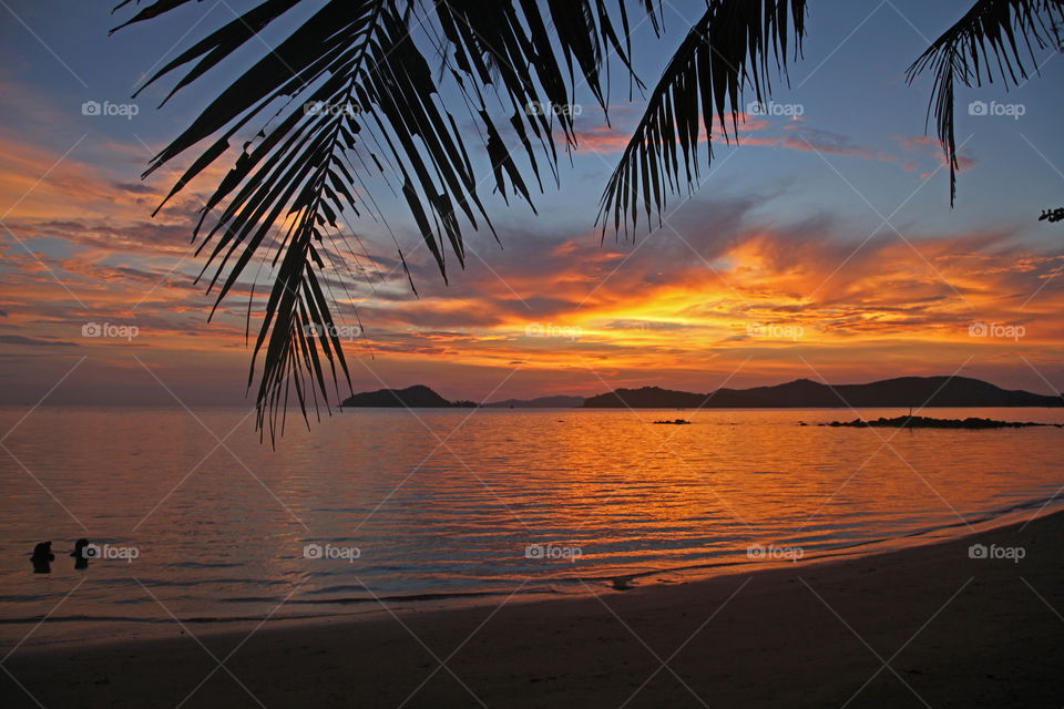 beautiful sunset in summer