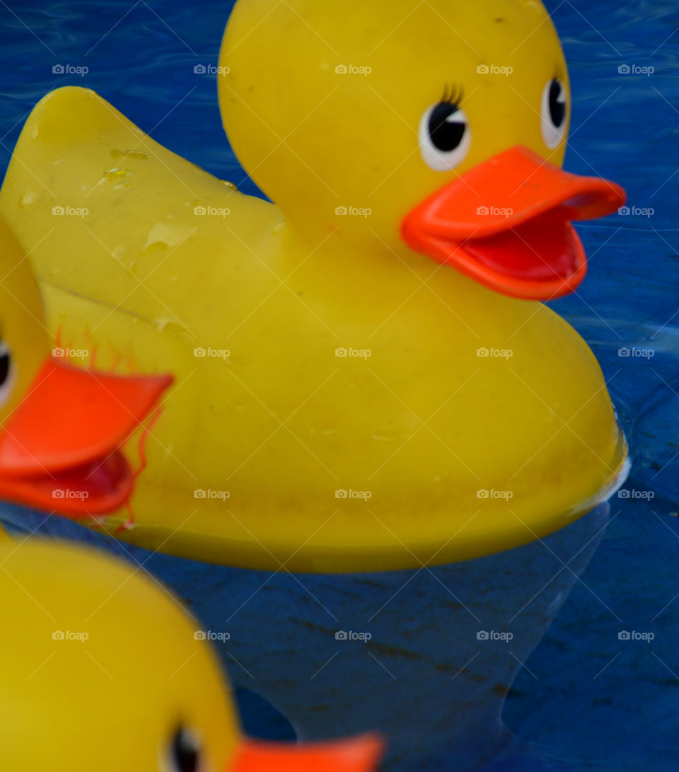 Yellow is my favorite color and it matches my disposition: cheerful and fun to be with, creative, critical of myself, and a perfectionist! Yellow is the best color to create enthusiasm for life and can awaken greater confidence and optimism! I love a challenge, particularly a mental challenge!