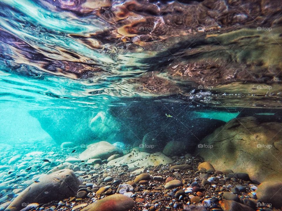 A shot under water.