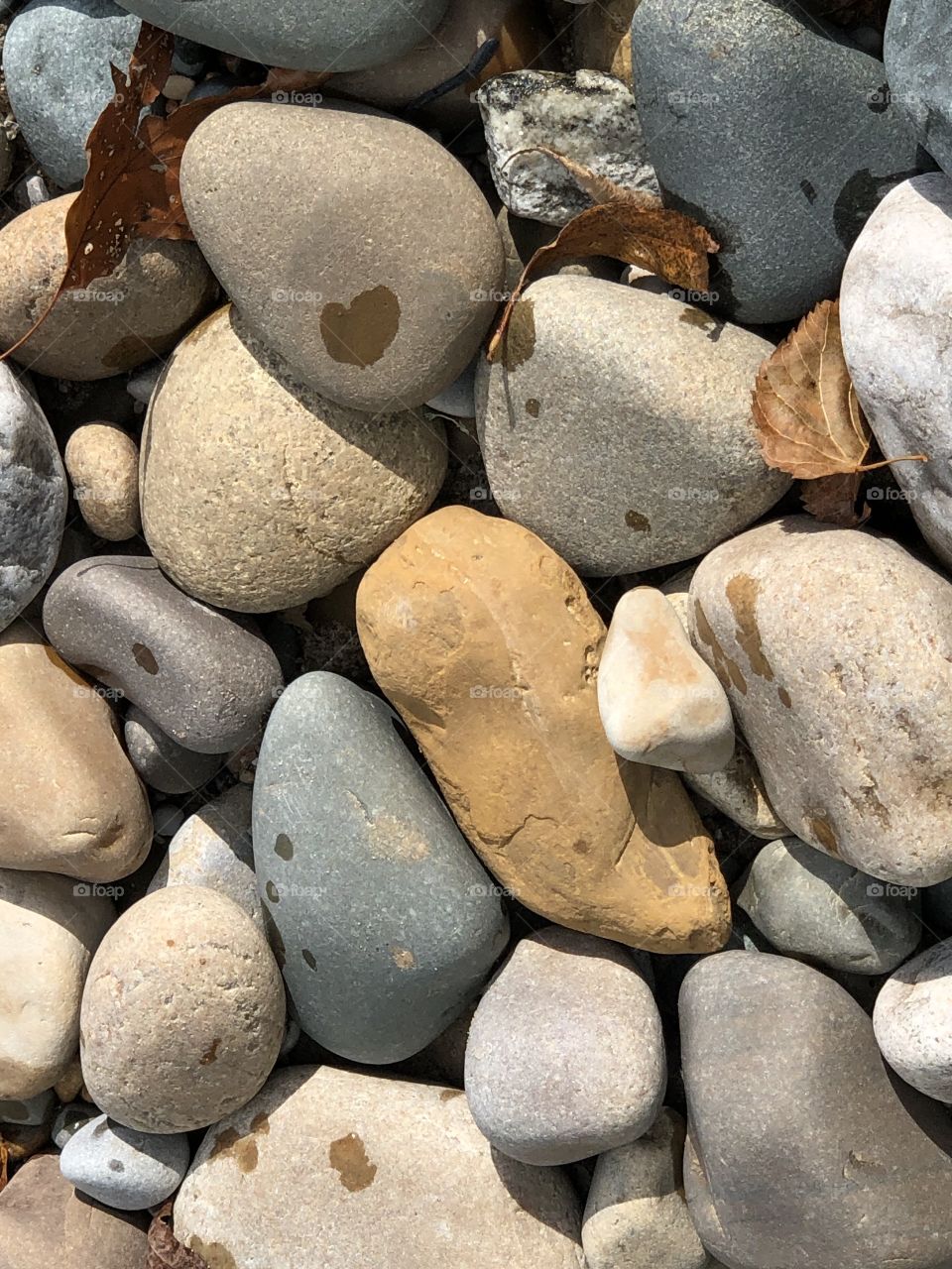 Rocks on Lake Huron Beach