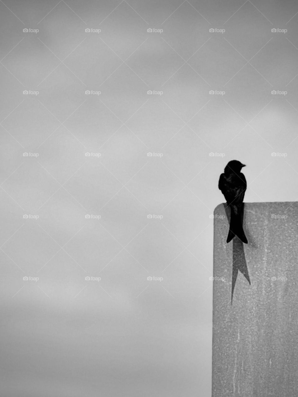 Alone in the sky