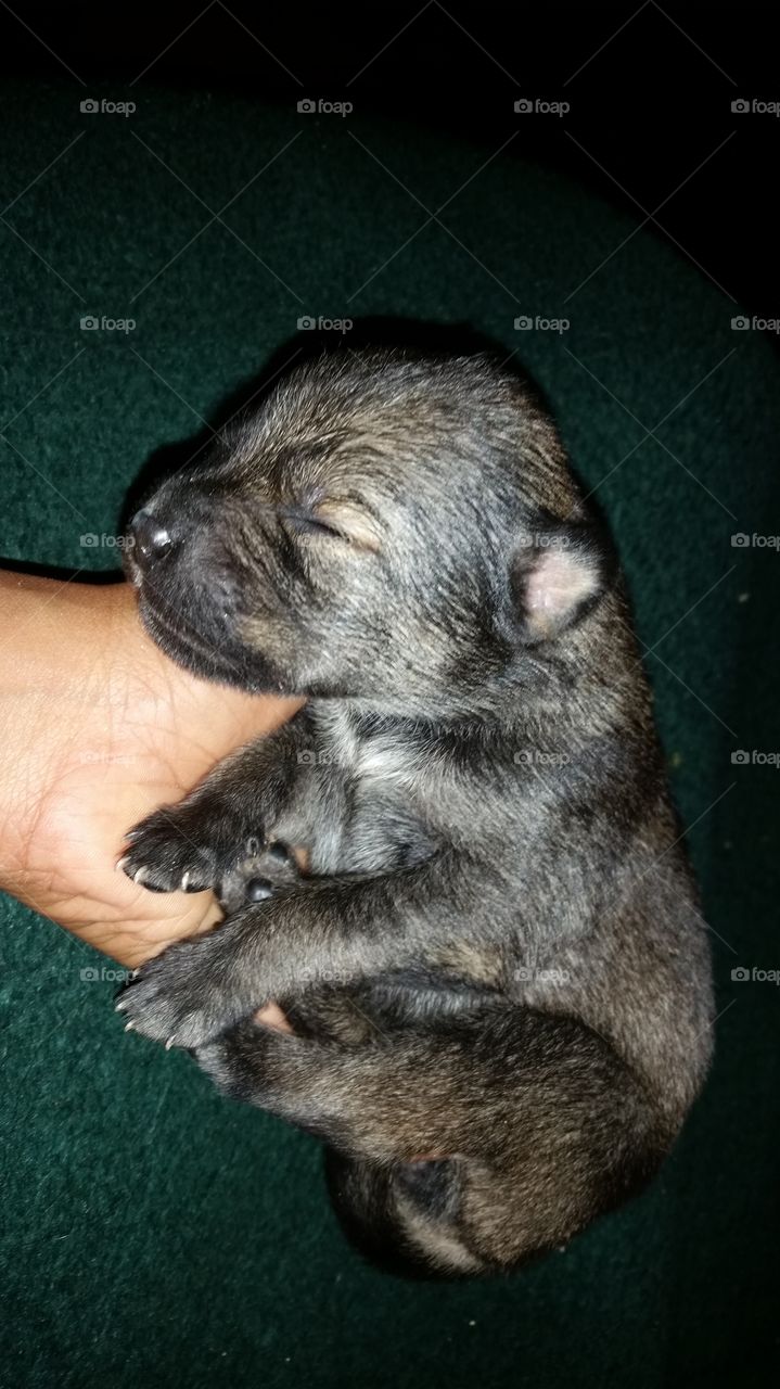 Dont disturb.. I am sleeping..