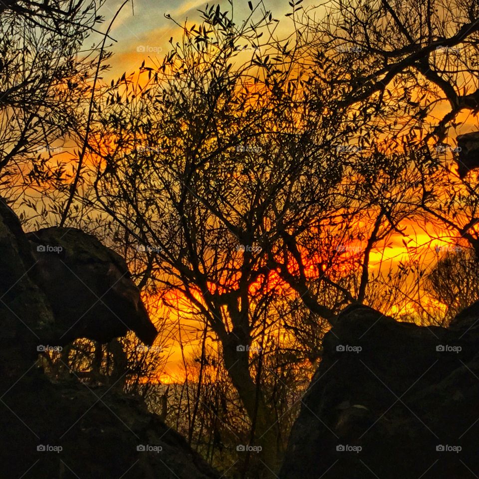 Need emotional challenge to connect and adapt ...