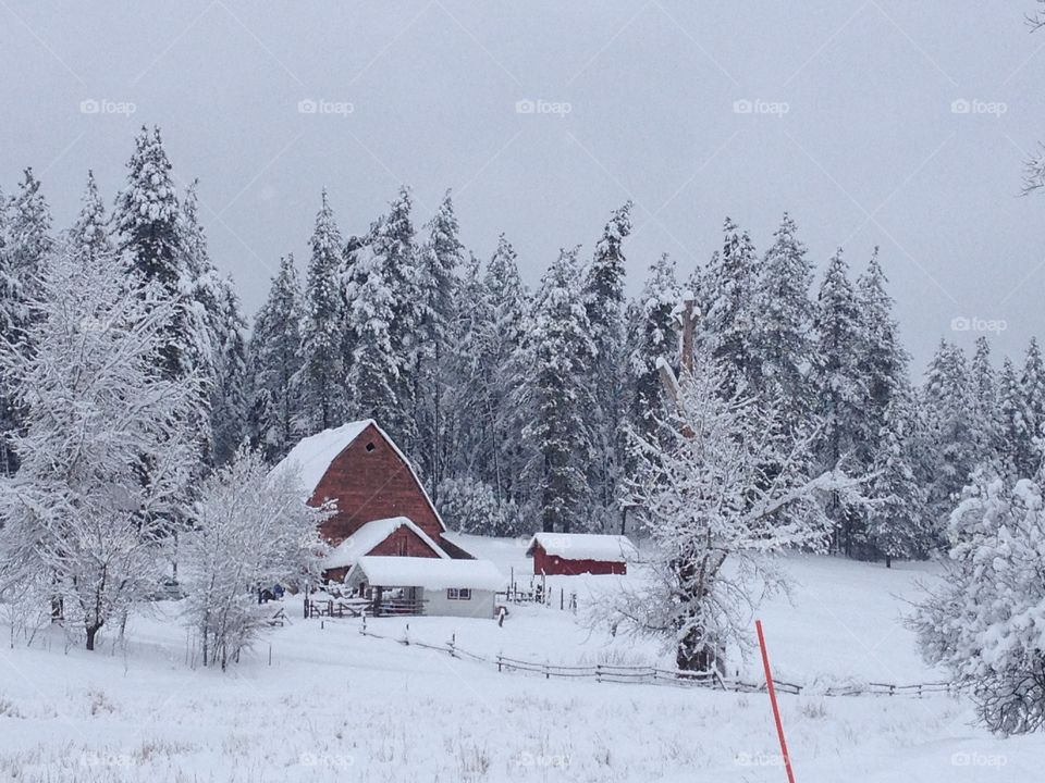 Winter Barn