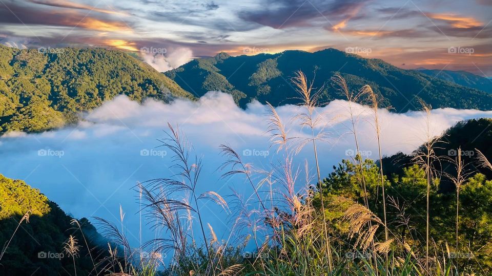 Beautiful mountain scenery with sea of clouds
