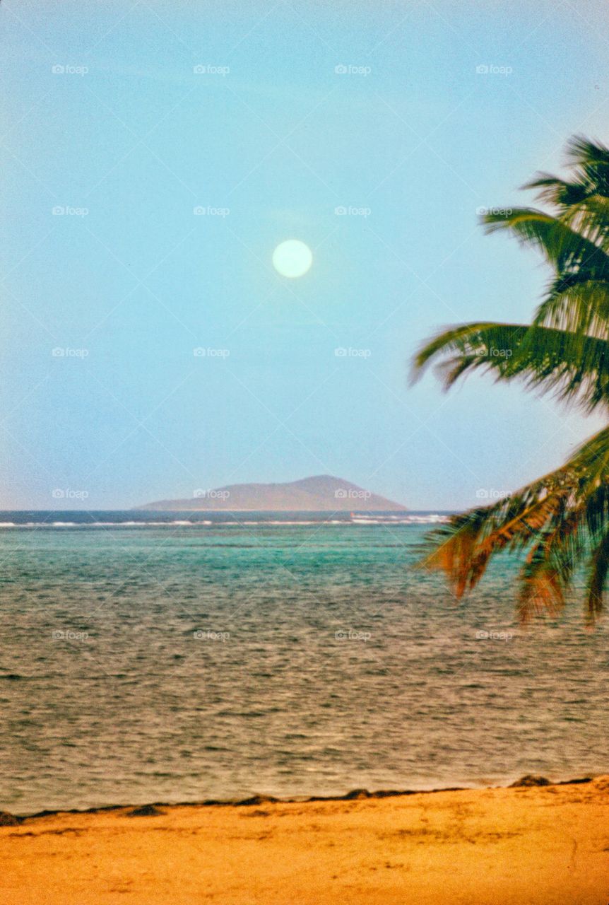 Caribbean Moon