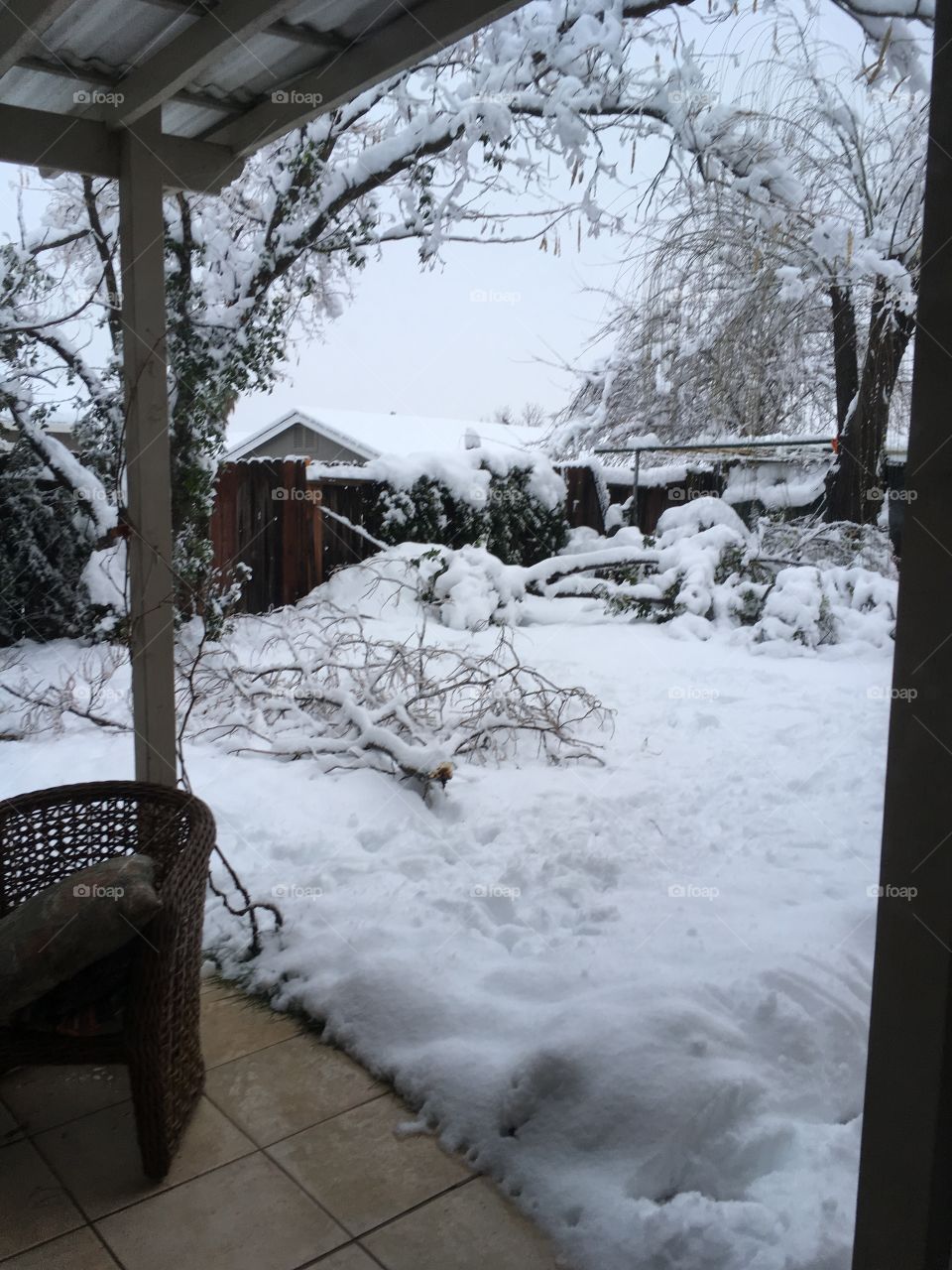 Snow day at my parent’s house. Redding Ca 