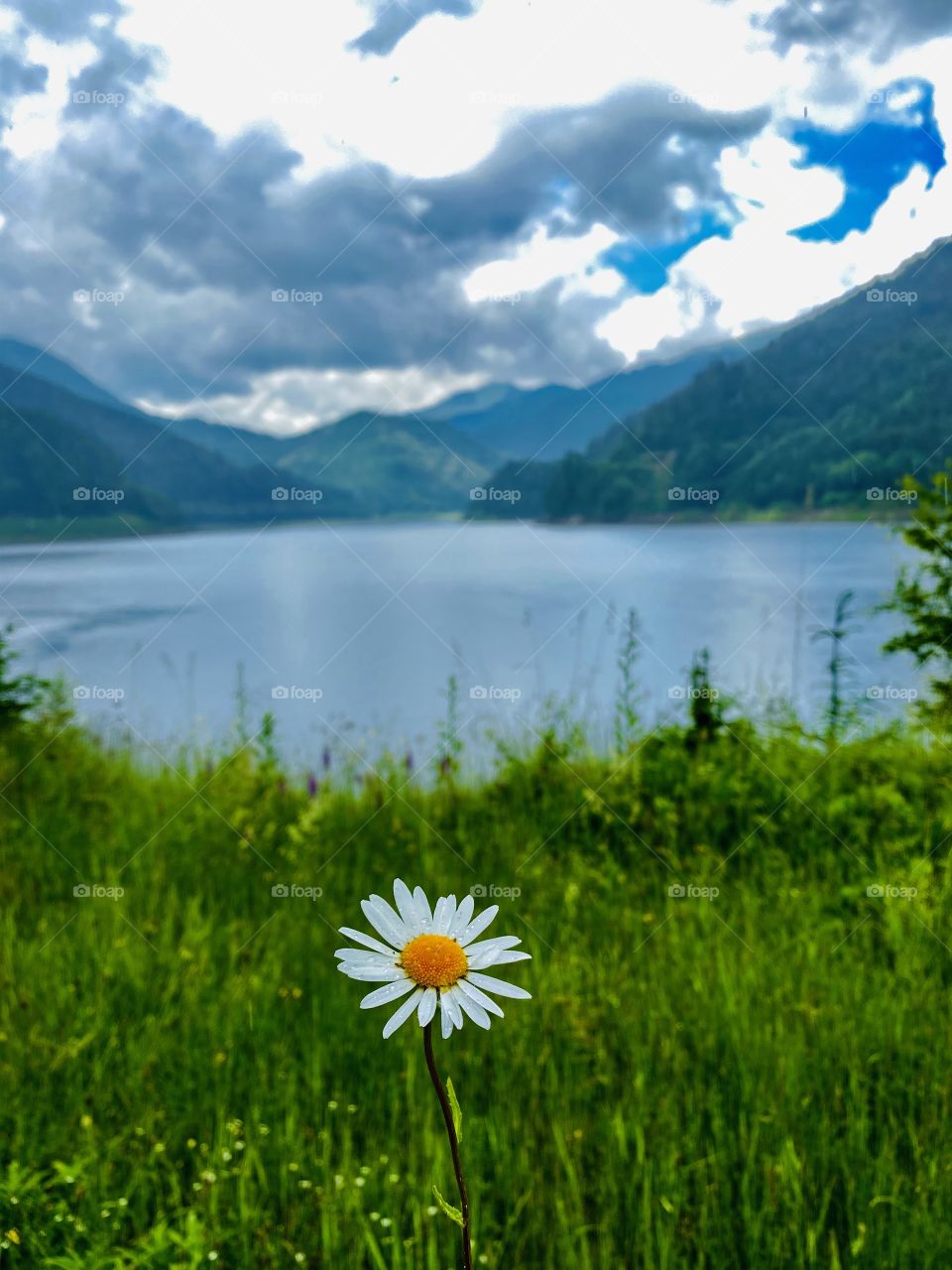 Alone through the nature 