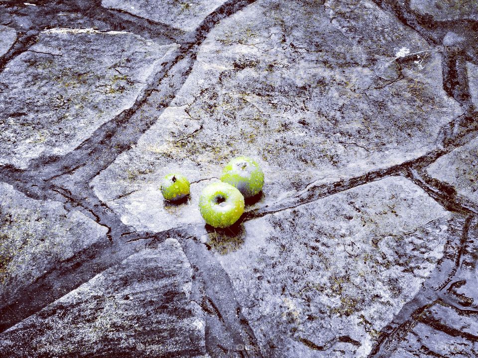 Apples in the rain.