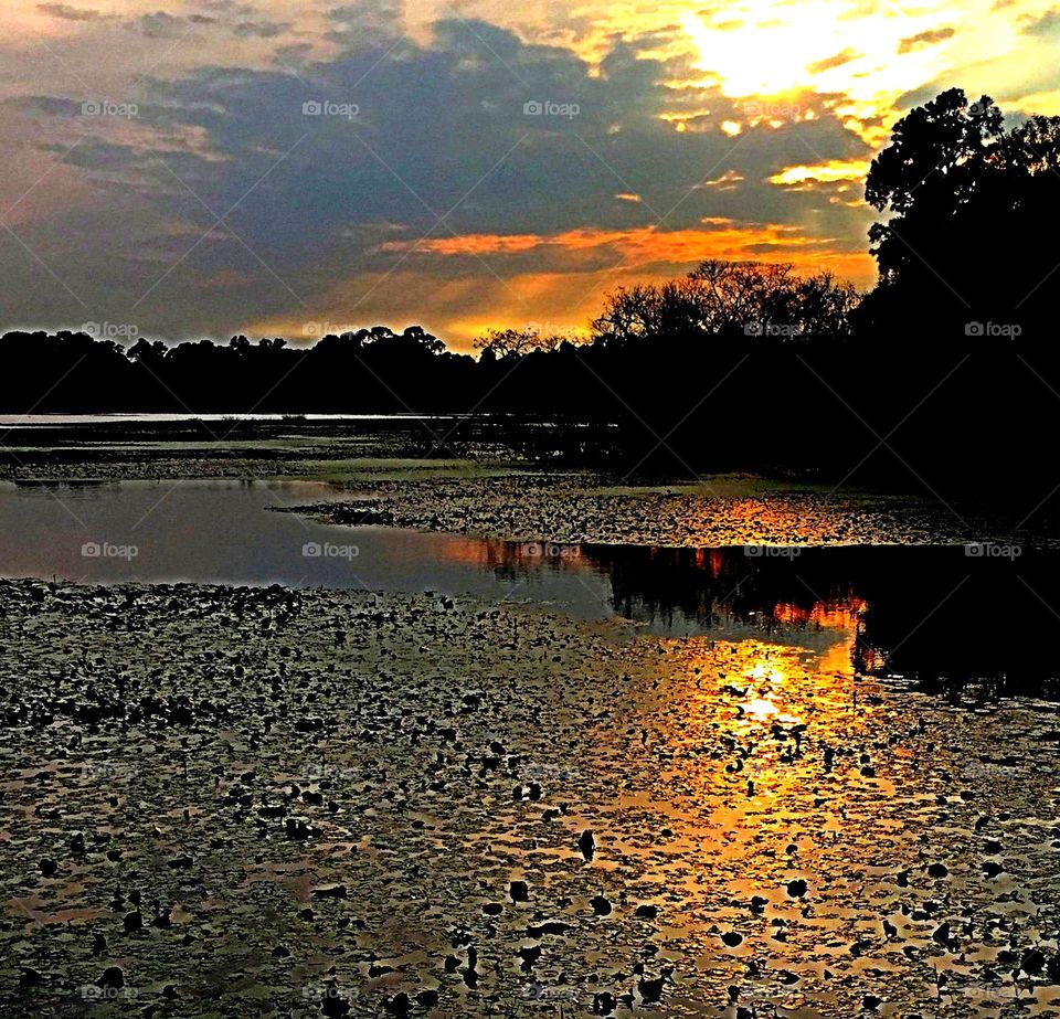 Lakeside. Lakeside at the golden hour
