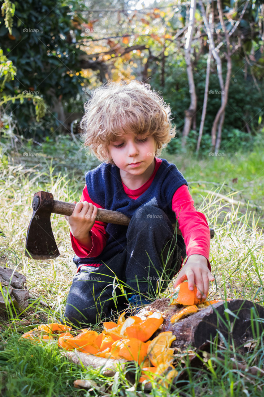Caucasian boy cutting oranges with grandpa's axe in the garden