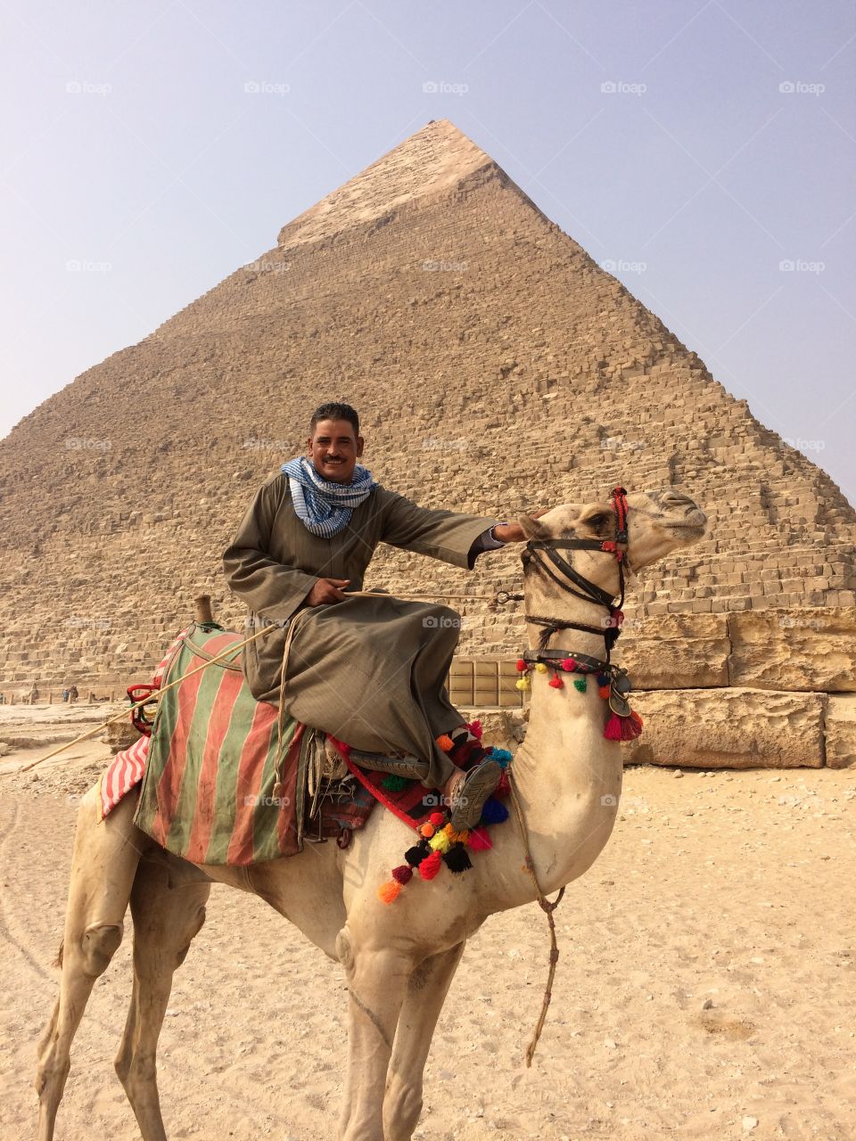 pyramid and camel and friend in egypt