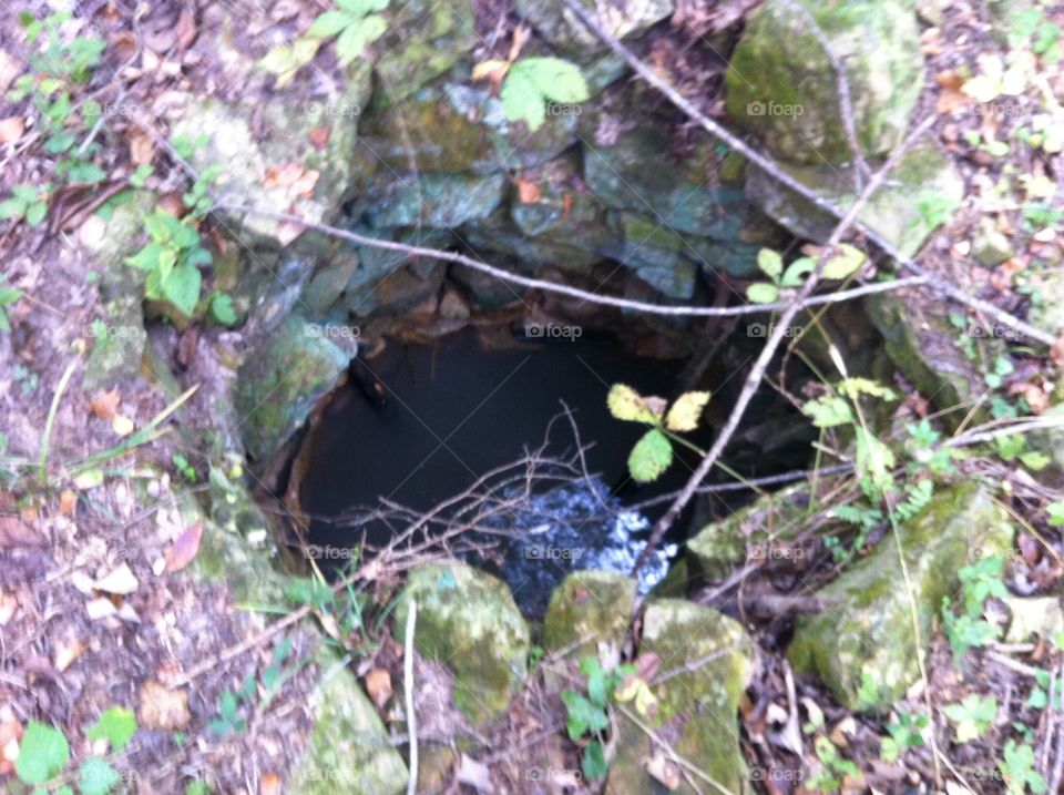 Abandoned well within woods of Missouri. 