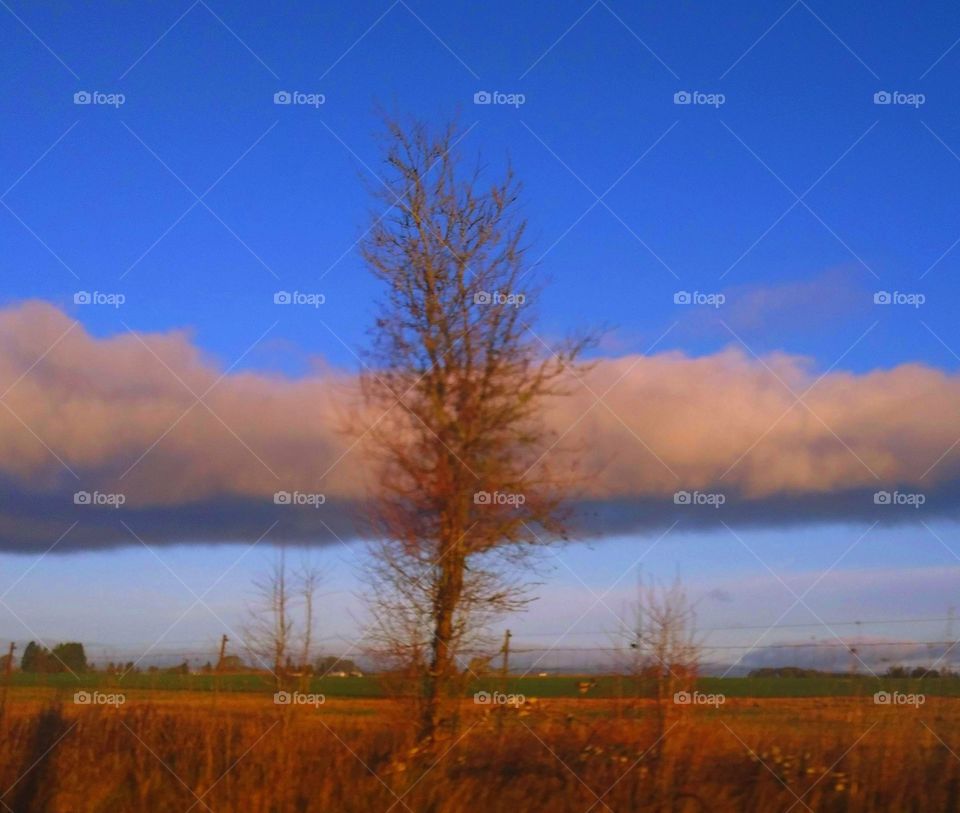 Sunrise cloud formation