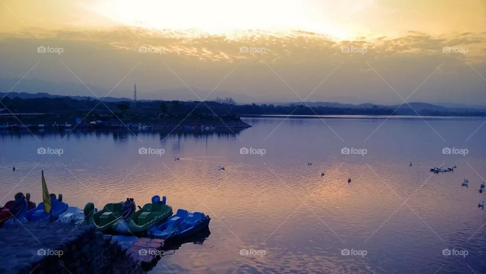 Dawn