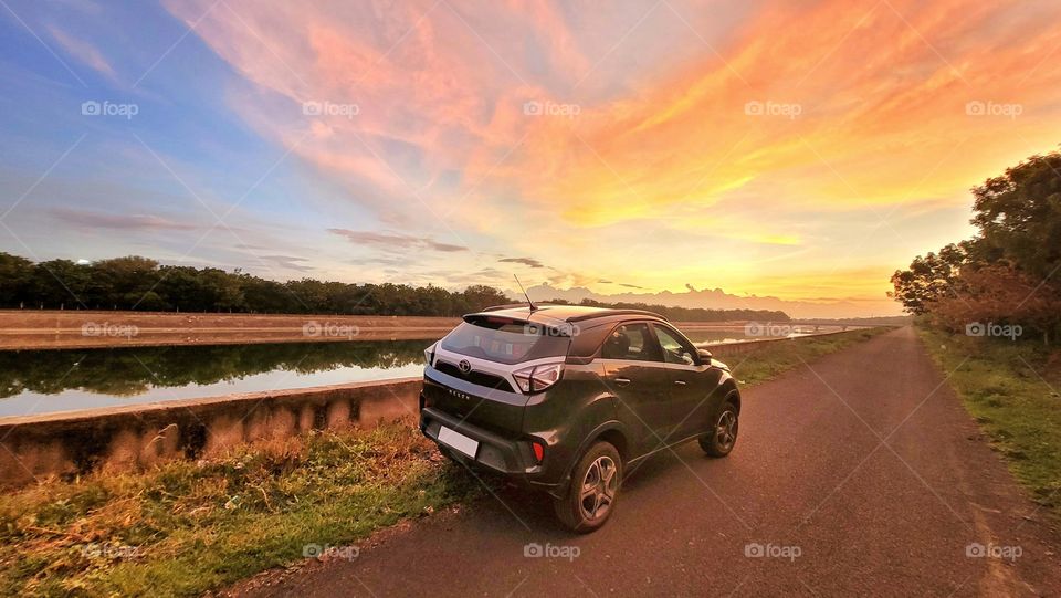 Beauty and the beast