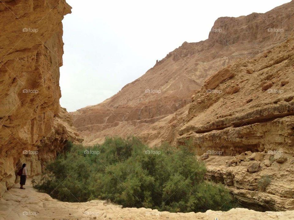trekking in Ein Gedi reserve, Israel