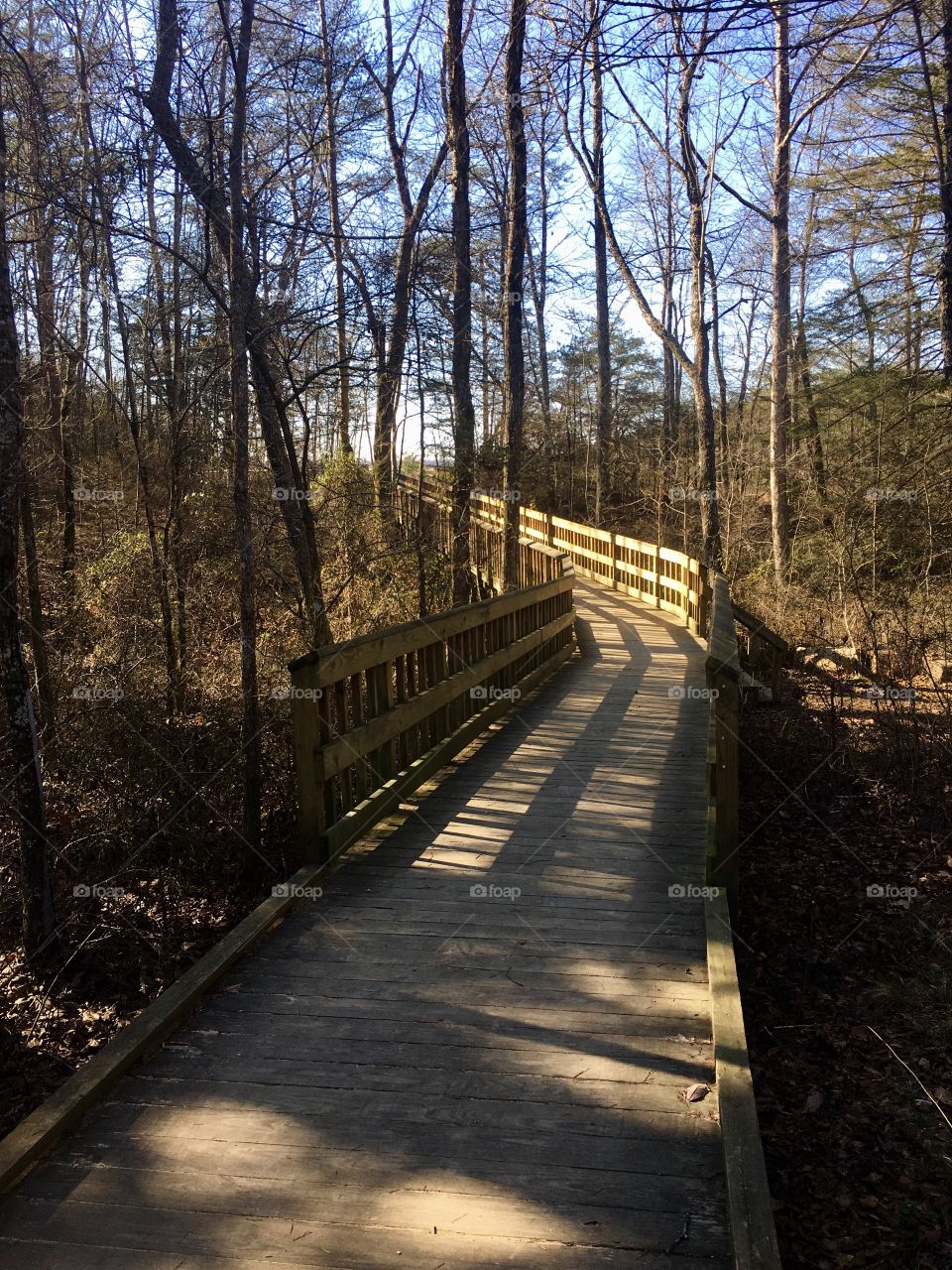Boardwalk heading to Foster Falls in South Cumberland State  Park in Tennessee