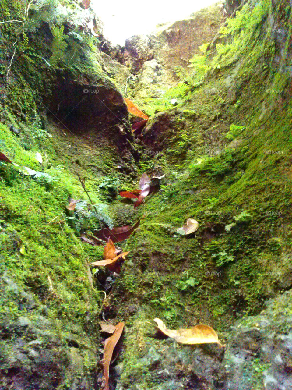 mossy ascent. climbing out of underground cave