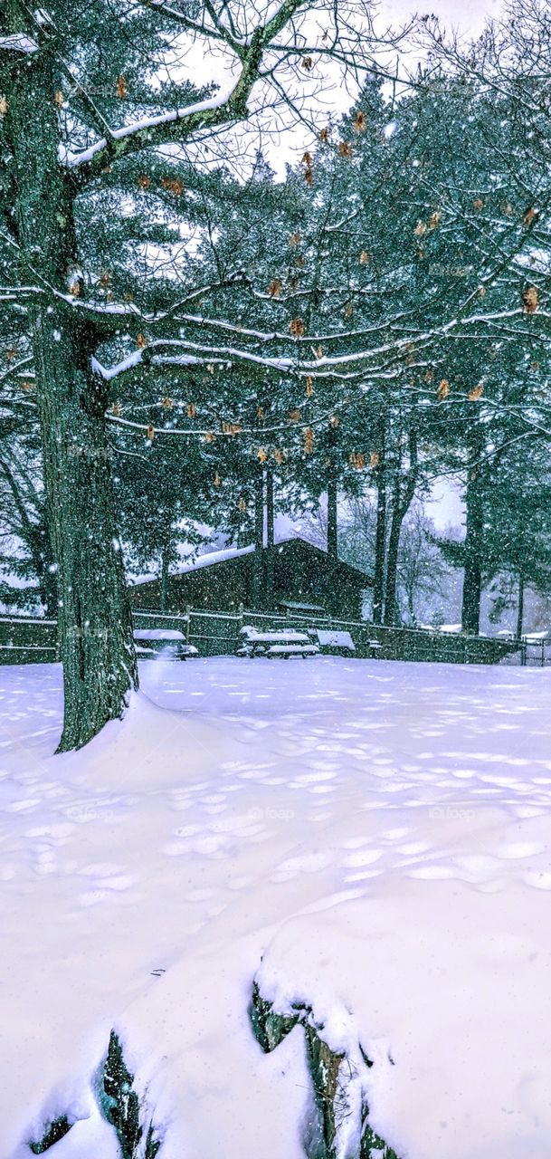 Cabin in a snowstorm!
