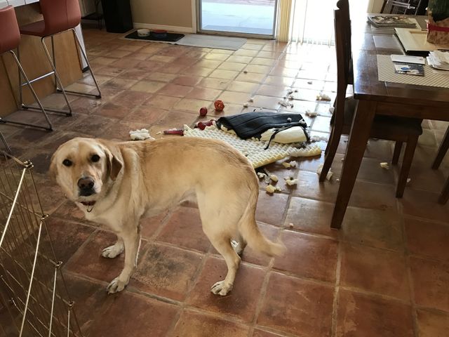 In trouble 