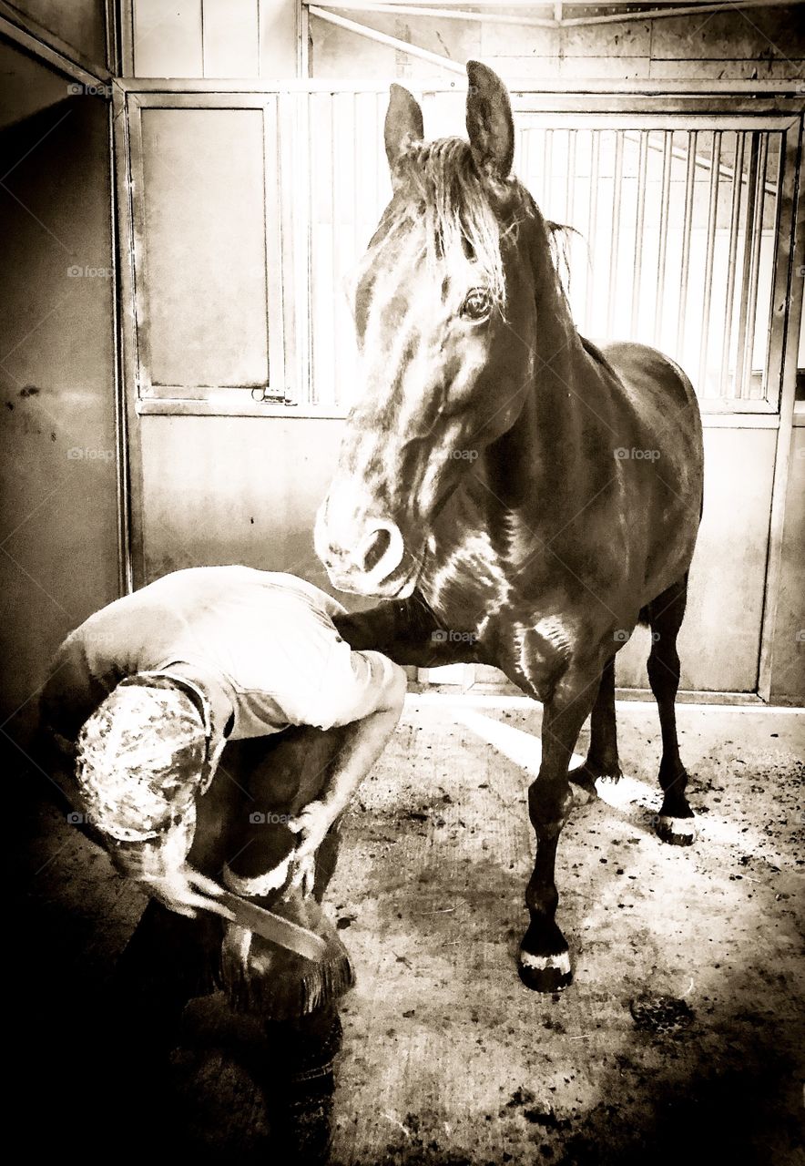 A good farrier’s  work is a golden treasure. A monotone with a rustic antique look.