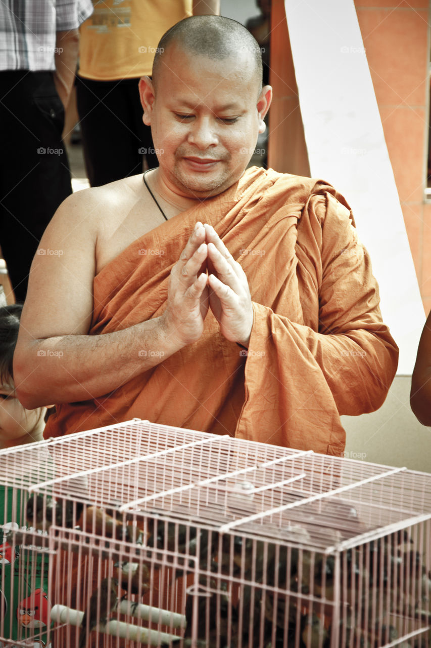 the monk pray for bird