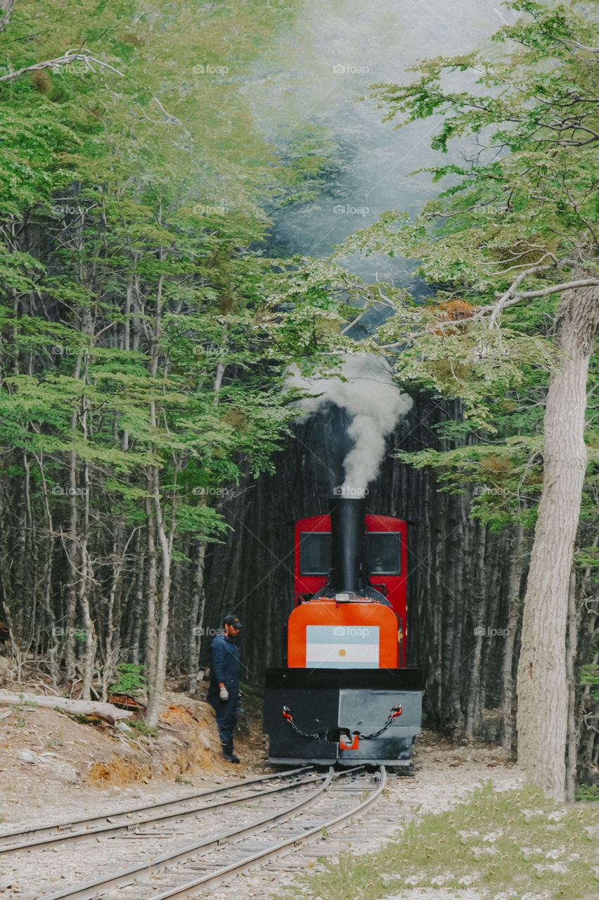 Train in the middle of the forest 