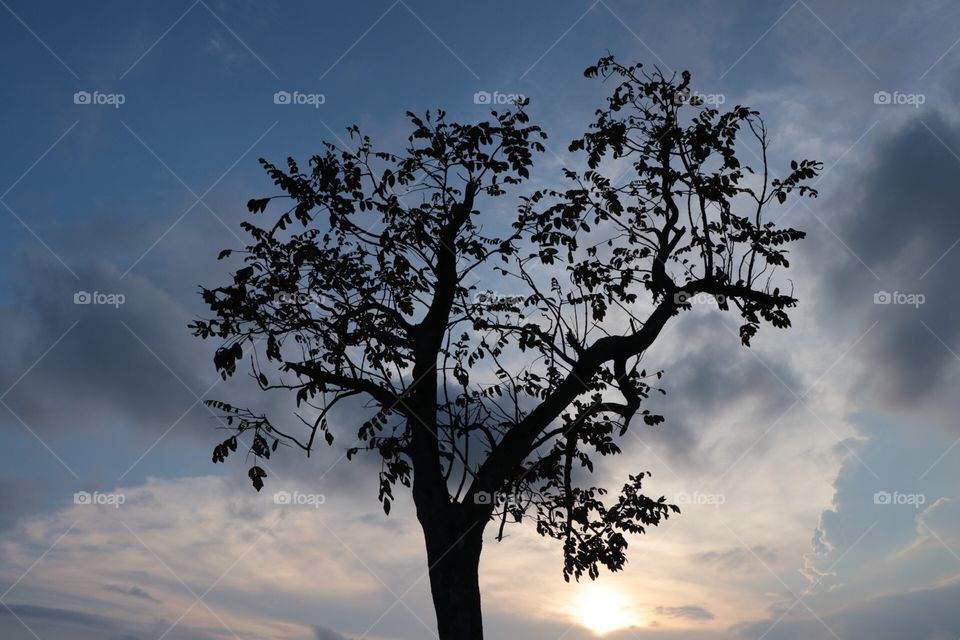 Alone during the sunset