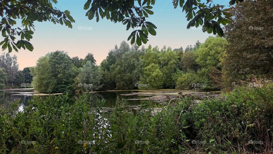 Needham Lake landscape, peaceful, England, UK