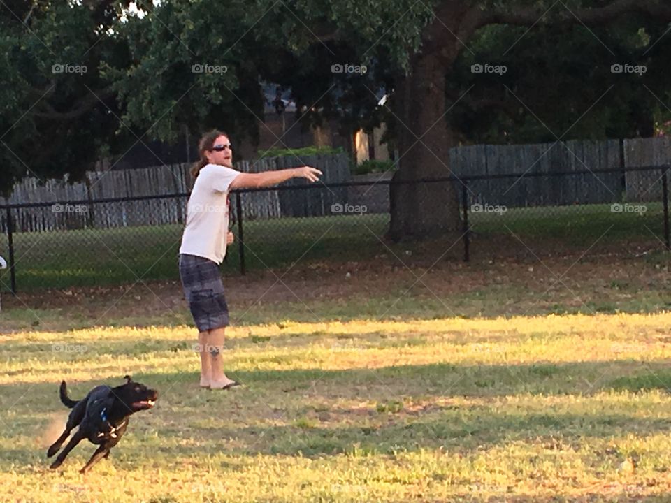 Dog park frisbee 