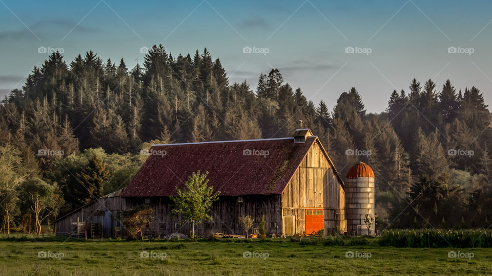 The Barn