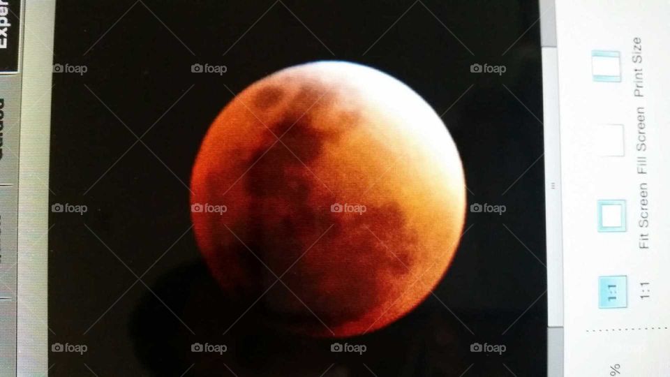 blood moon. Eclipse moon