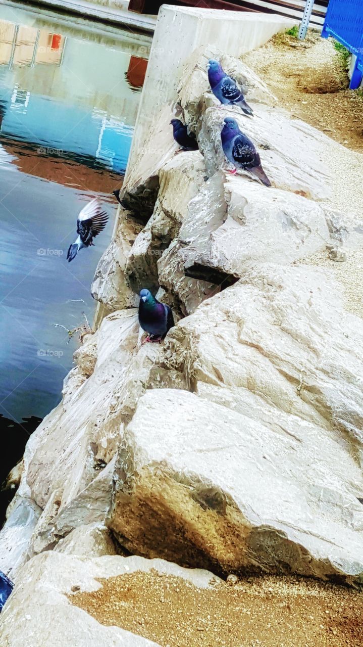 living BEAUTIFULLY & WONDERFULLY Made