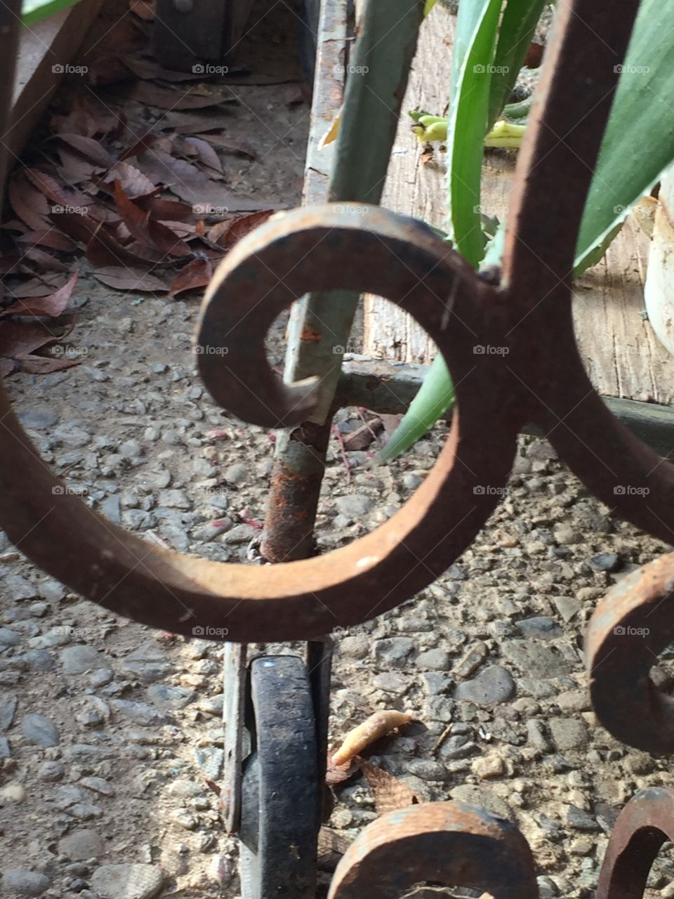 A wrought iron swirly curl from a mid-century patio furniture set. 