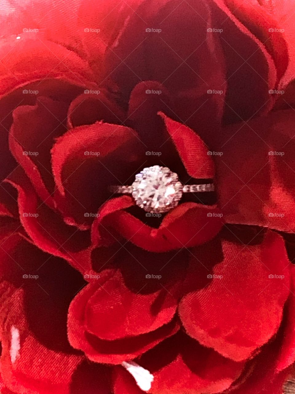 Shining like a diamond 💍