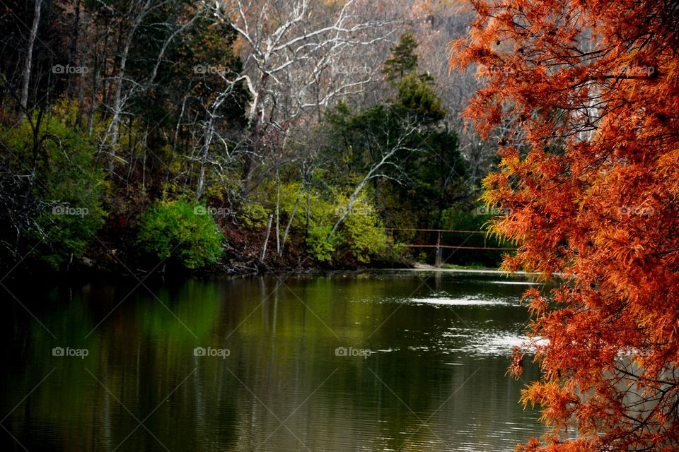 Tranquility in Kentucky - a serene lake near Lexington - colors and nature at its best 