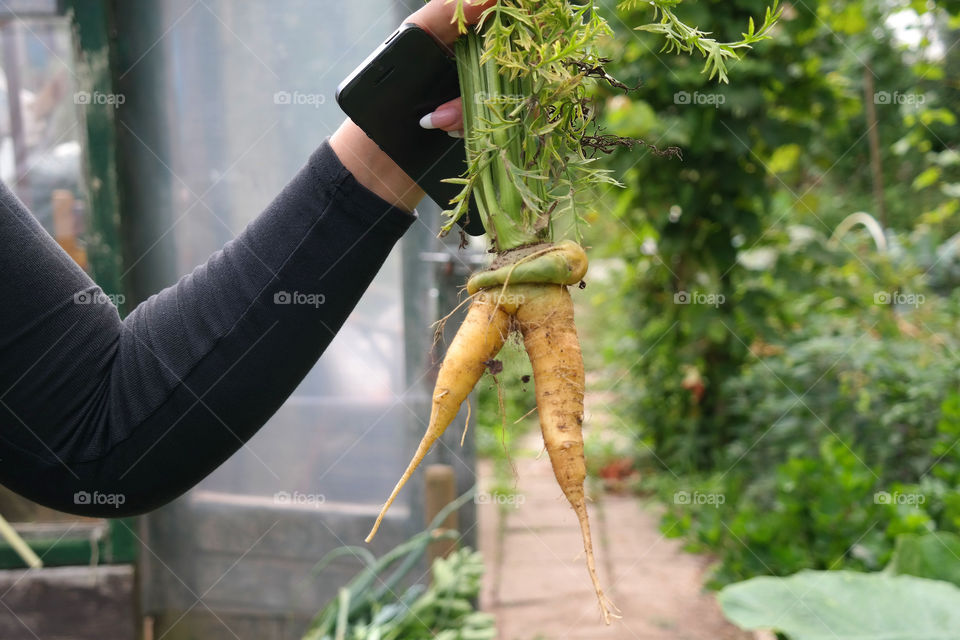 Happy healthy carrots everyday 