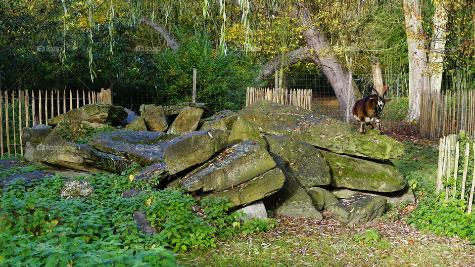 In a park in Antwerp