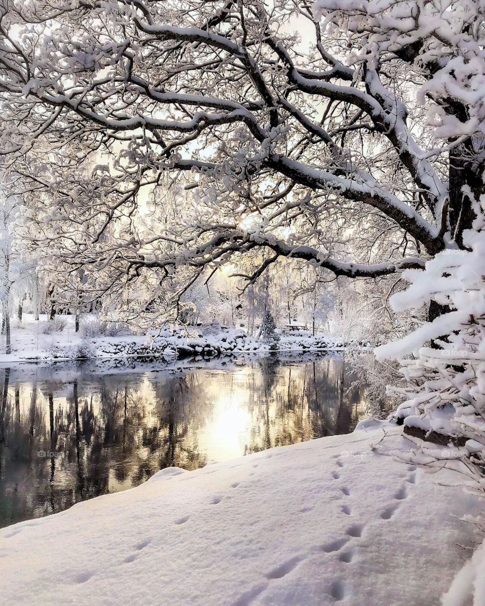 Winter wonderland in Lapland. Winter landscape with forest, snow covered trees, cloudy sky and sun. 