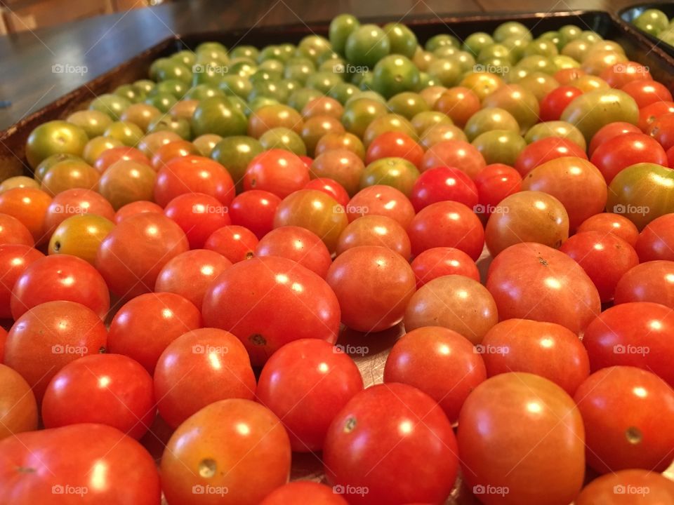 Tomatoes 