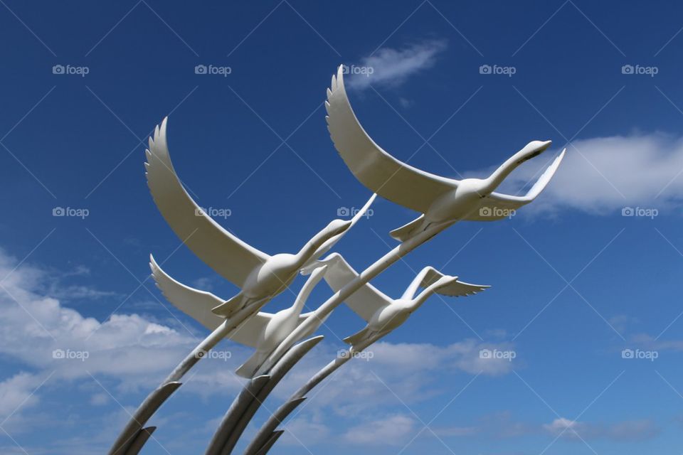Swan sculpture