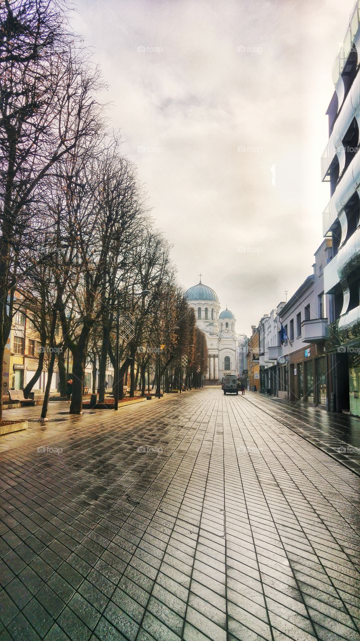 Freedom Avenue, Kaunas, Lithuania