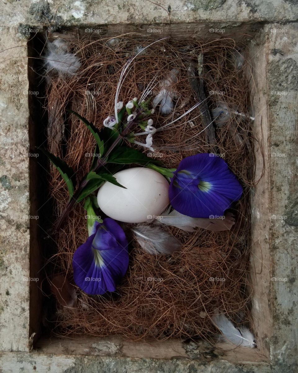 egg and flowers blossom on bird nest. easter decorations