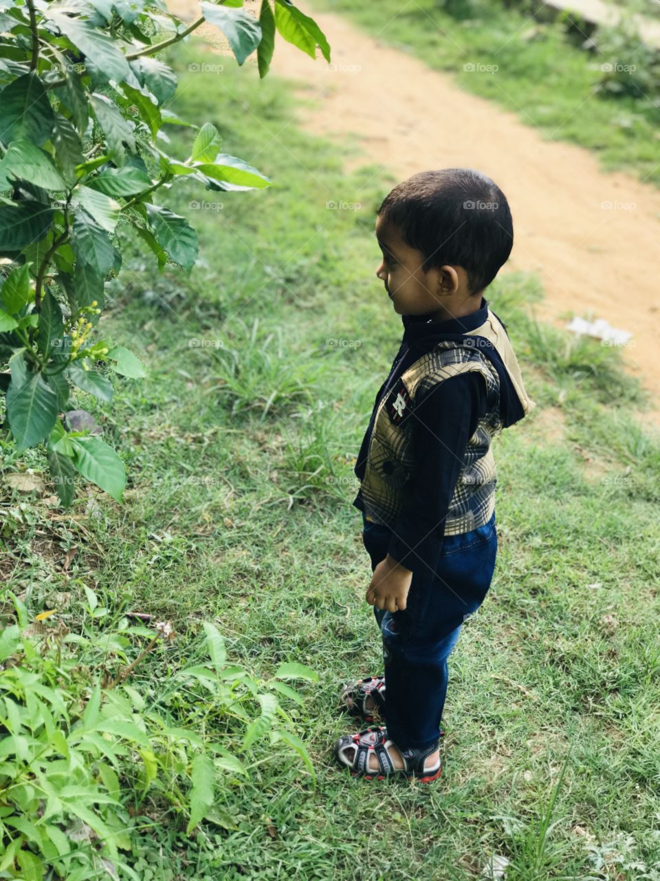 Boy standing near greenery 