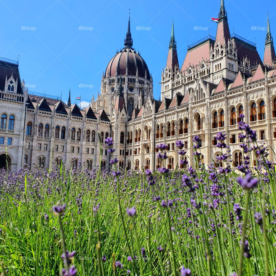 Hungarian parliament