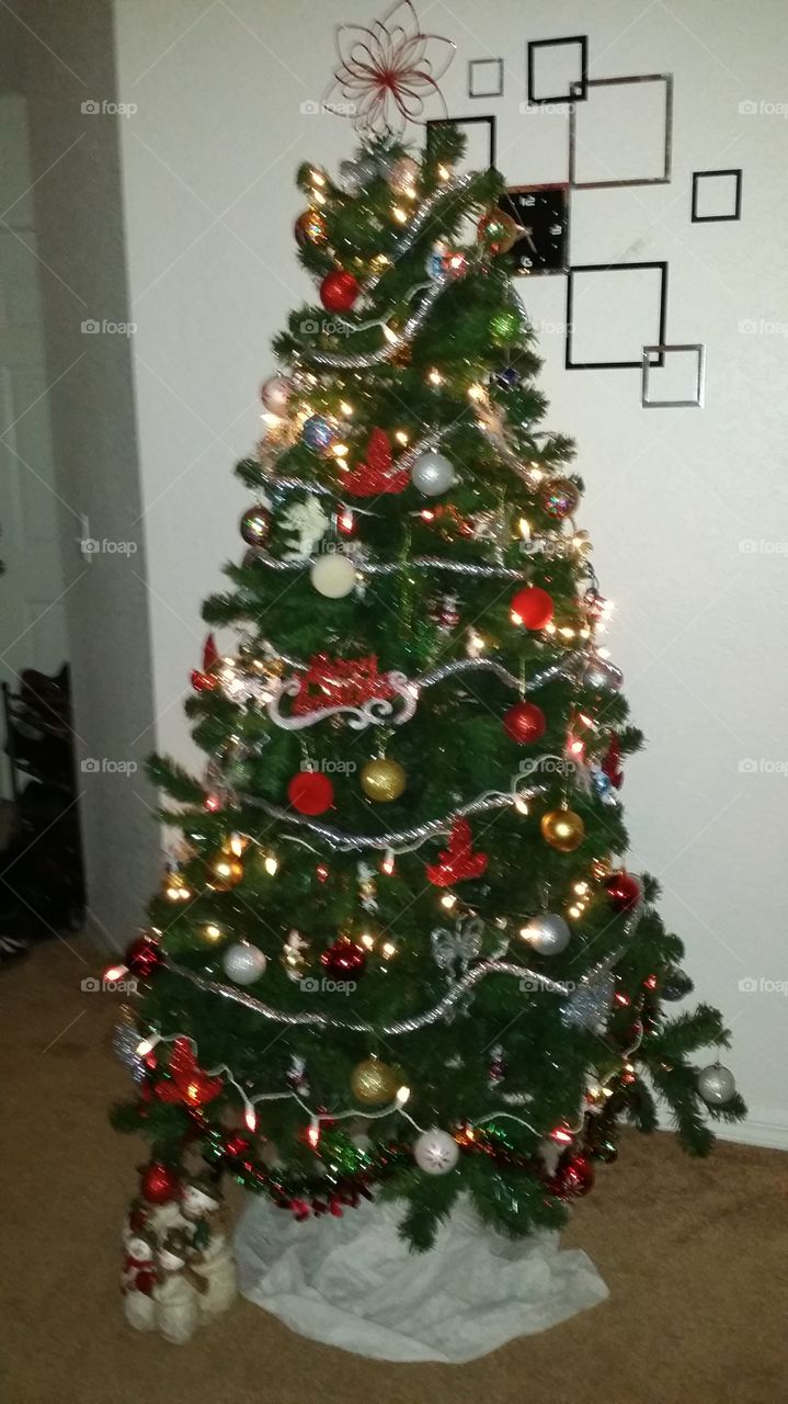 Christmas, Winter, Christmas Tree, Tree, Pine