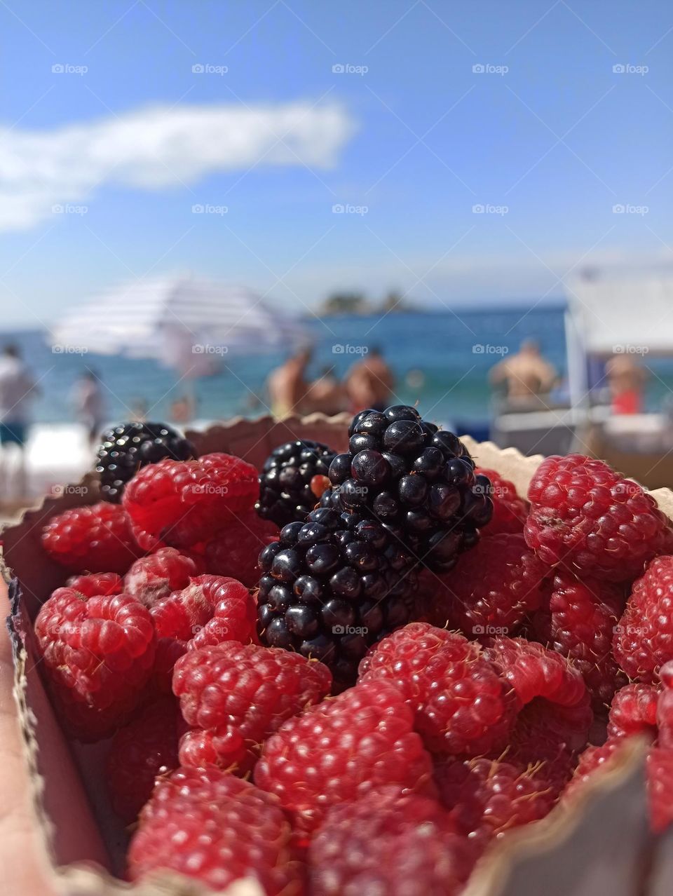 Battl: summer vs. fall