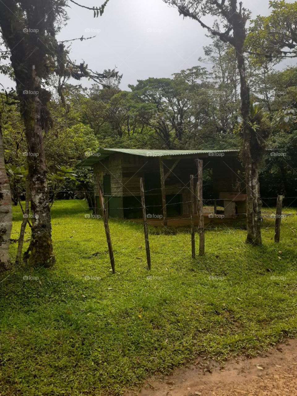 A Small Building in the Forest of Costa Rica